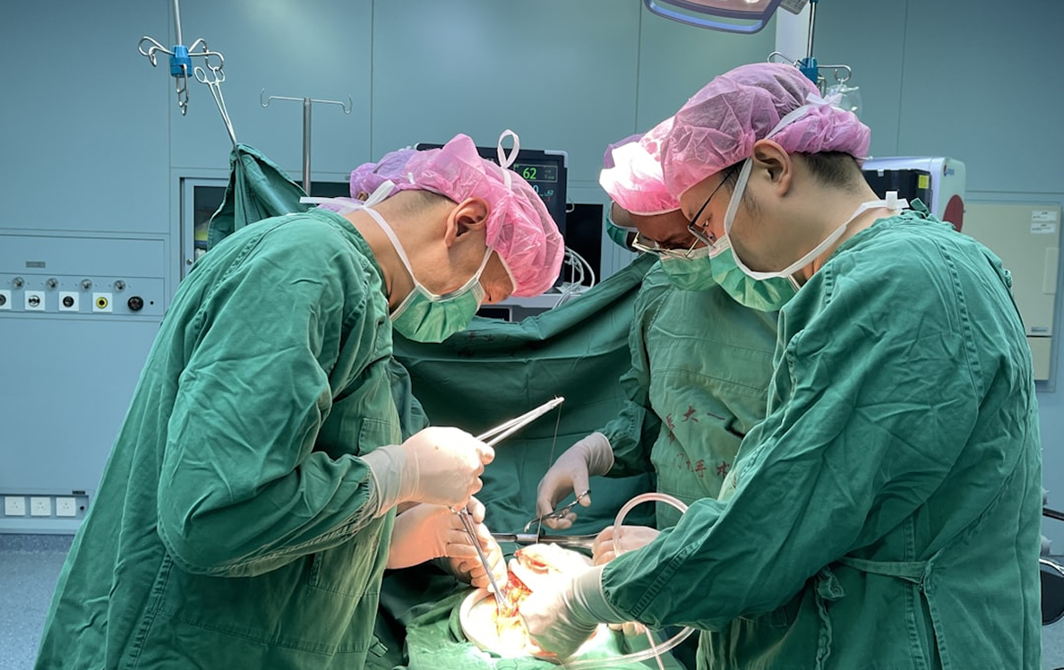 Surgical training facilities