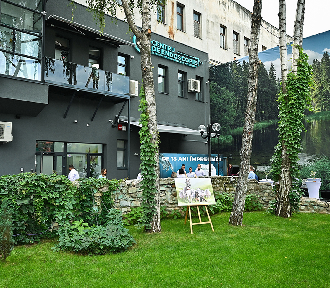 Partner location